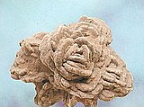 barite-roses.jpg