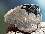 clam shell w-vivianite replacement.jpg