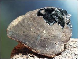 clam shell w-vivianite replacement.jpg